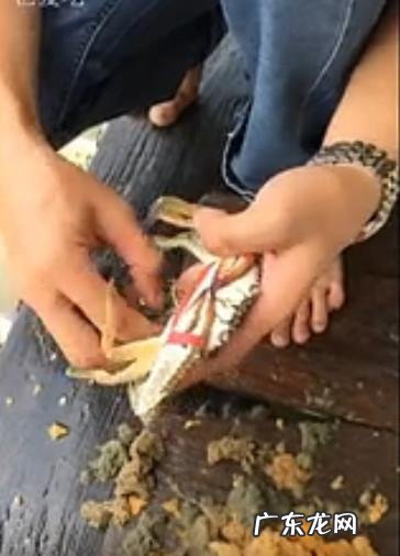 随意放生可能破坏生态 螃蟹上餐桌前成功解绳男子守诺放生