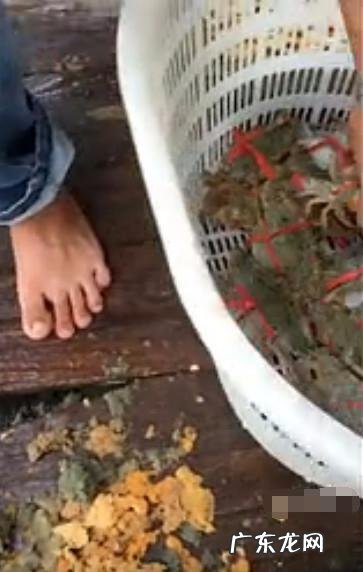 随意放生可能破坏生态 螃蟹上餐桌前成功解绳男子守诺放生