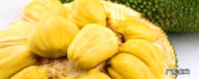 菠萝蜜在冰箱能放几天,菠萝蜜在冰箱里可以放几天