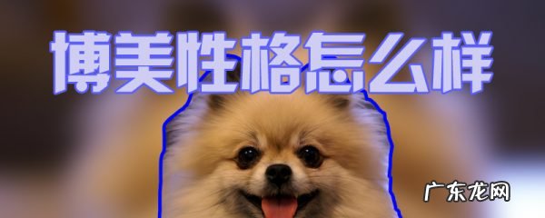 小博美和大博美 博美性格怎么样