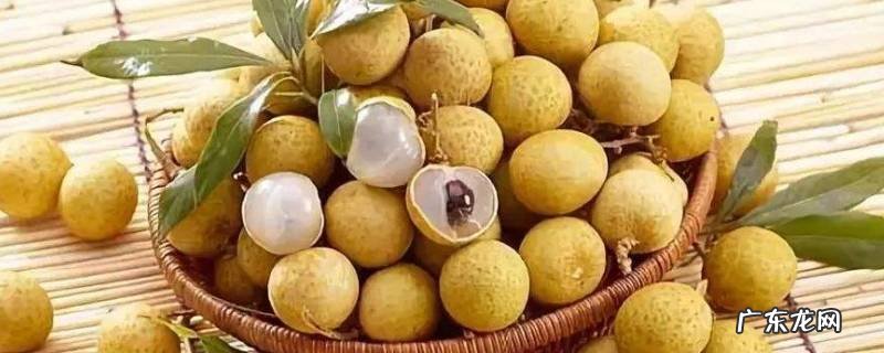 桂圆一次放几个干泡水,桂圆泡水用几个