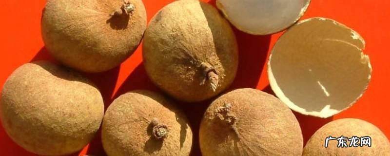 桂圆皮和核该怎么利用,桂圆的皮和核能吃吗