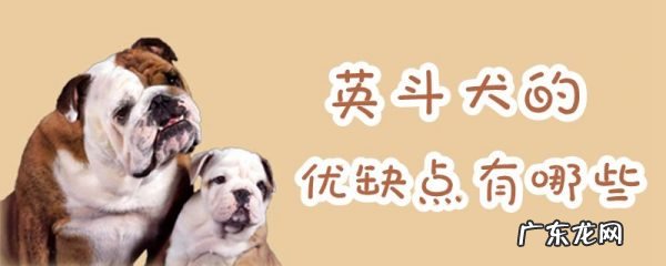 英斗犬和法斗犬哪个贵 英斗犬的优缺点有哪些