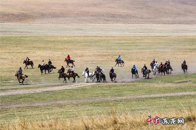 马背上的速度与激情!新疆雪域草原上举办叼羊比赛 草原上的硬核比拼到底有多带劲儿