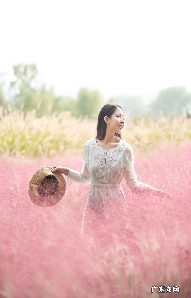 女子粉黛花海拍照遇丁达尔效应