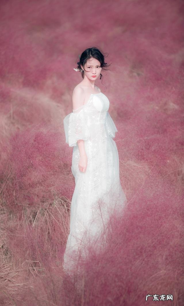 女子粉黛花海拍照遇丁达尔效应