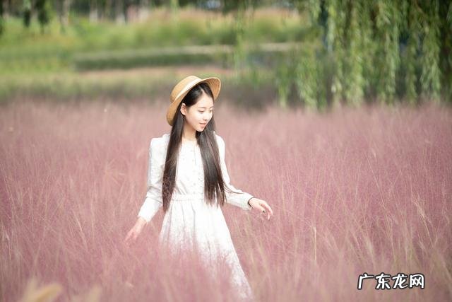 女子粉黛花海拍照遇丁达尔效应