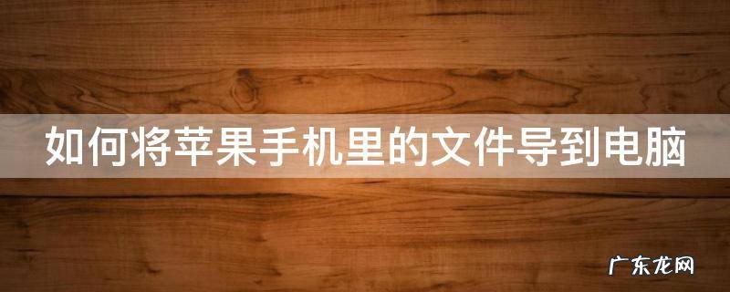 如何将苹果手机里的文件导到电脑