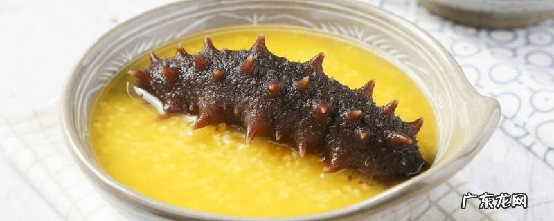 海参放冷冻还是冷藏,海参放冷藏还是冷冻好