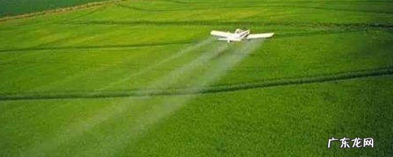 农业生产种类有哪些