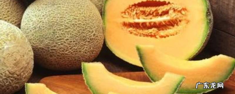 哈密瓜发霉了还能吃吗,哈密瓜发霉一点可以吃吗