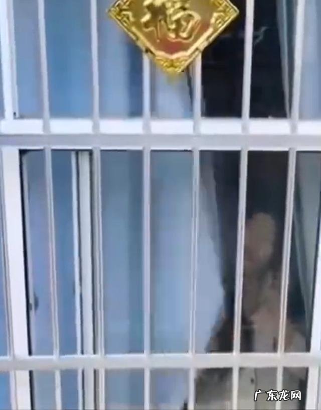 女子与网友上山游玩失联26天 女子未回信息朋友飞无人机探查