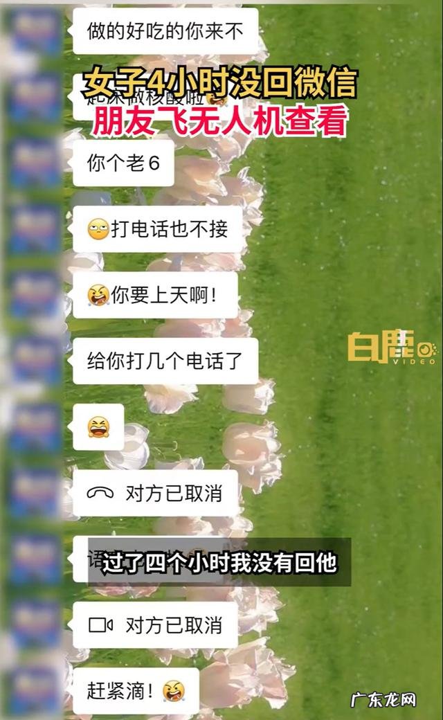 女子与网友上山游玩失联26天 女子未回信息朋友飞无人机探查