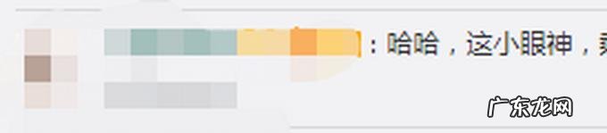 没想到它竟然气到直接开抢 狗狗趁主人不注意狂炫41个饺子