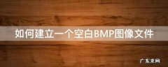 如何建立一个空白BMP图像文件
