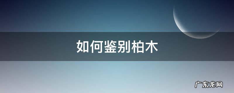 如何鉴别柏木
