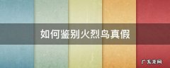 如何鉴别火烈鸟真假