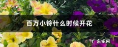 百万小铃什么时候开花,百万小铃是一年生还是多年生？