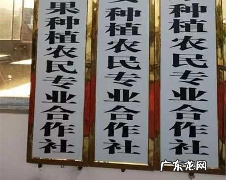 推动党旗红与产业兴相融互动 主人喂猪吃火龙果被猪白眼抗议