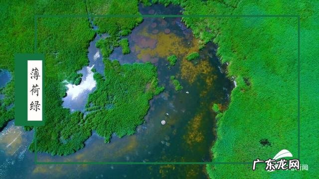 红 黄河入海口的传统色调