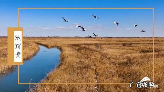 红 黄河入海口的传统色调