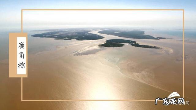 红 黄河入海口的传统色调