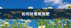雏菊施肥方法，用什么肥好,施肥方式有哪四种？