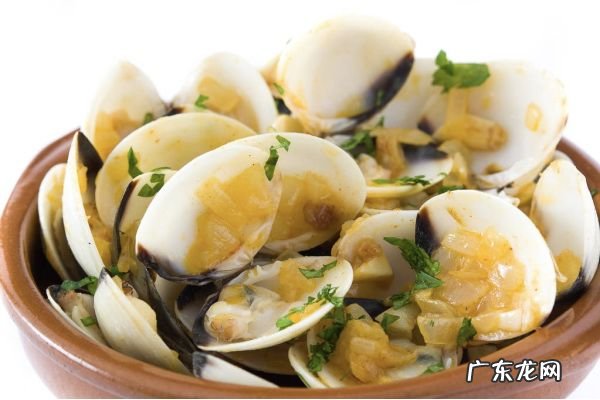 丝瓜炒蛤蜊,鲜蛤蜊肉的做法大全?