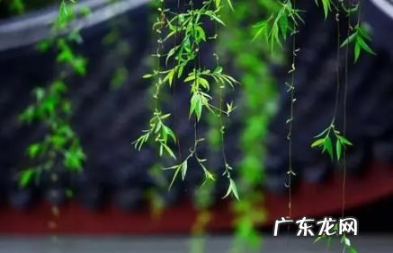 2022清明以后天气暖和了吗,春节十五天天气预报?