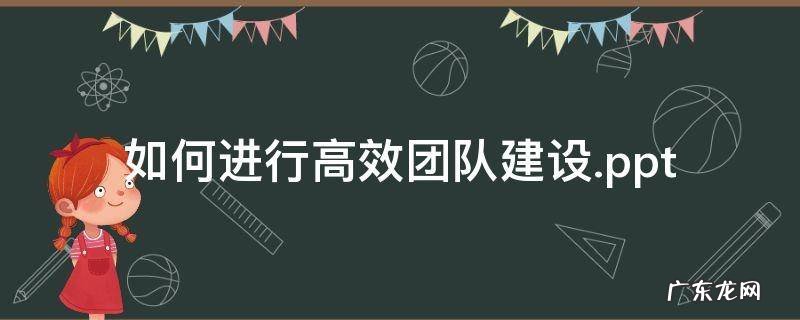 如何进行高效团队建设.ppt