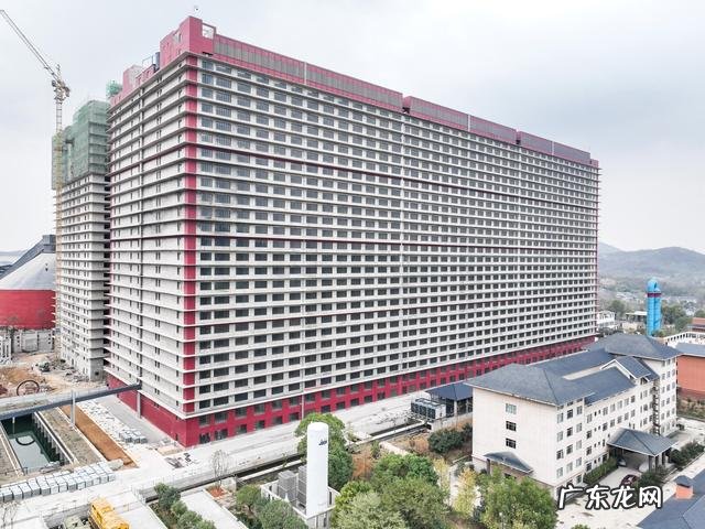 这是世界最大的养猪场 媒体探访湖北26层高养猪大楼
