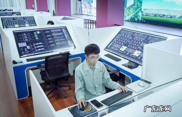 这是世界最大的养猪场 媒体探访湖北26层高养猪大楼