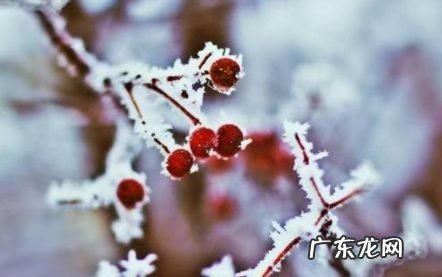 2022年什么时候数九,2021到2022年数九时间表?