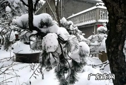 2022年除夕前后会下雪吗,今年会下雪吗??