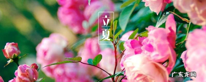 每一年的立夏是哪天,立夏是一年中最长的一天吗