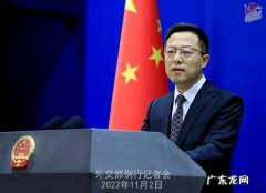 外交部回应 外交部回应荷兰要求关闭“服务站”
