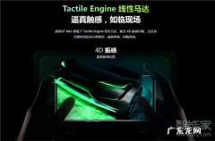 真我gtneo是什么马达,realme gt neo是z轴马达？