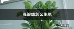豆瓣绿怎么施肥？,豆瓣绿的养殖方法和注意事项？