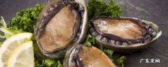 鲍鱼能直接冻冰箱里吗,鲍鱼可放冰箱冷冻吗