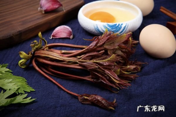 香椿炒蛋,吃香椿的禁忌?