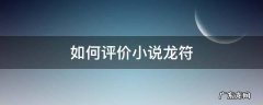 如何评价小说龙符