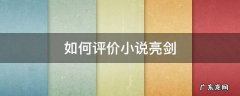 如何评价小说亮剑