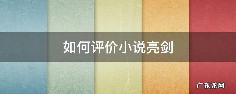 如何评价小说亮剑