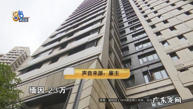 保姆被雇主追责并扣付九千余元 价值23万缅因猫坠楼