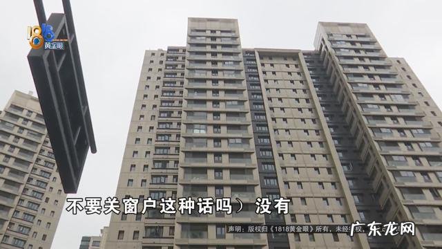 保姆被雇主追责并扣付九千余元 价值23万缅因猫坠楼