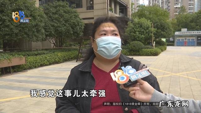 保姆被雇主追责并扣付九千余元 价值23万缅因猫坠楼