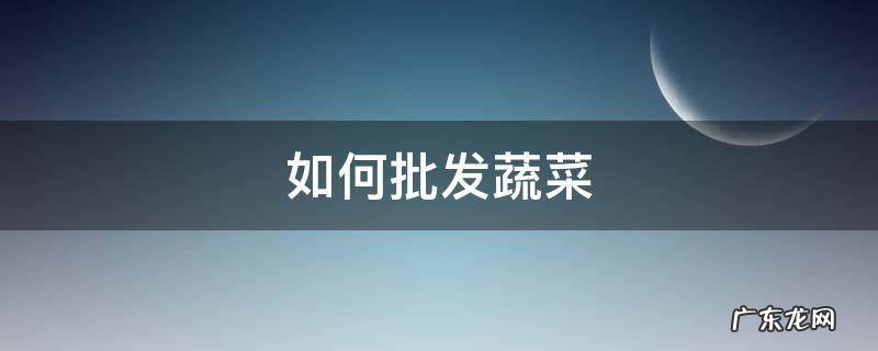 如何批发蔬菜