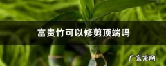 富贵竹可以修剪顶端吗，如何掐尖,水养富贵竹修剪图解？