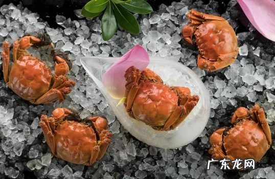 大闸蟹吐泡泡是不是口渴,蟹吐泡泡是不是要死了?