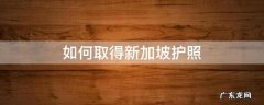 如何取得新加坡护照